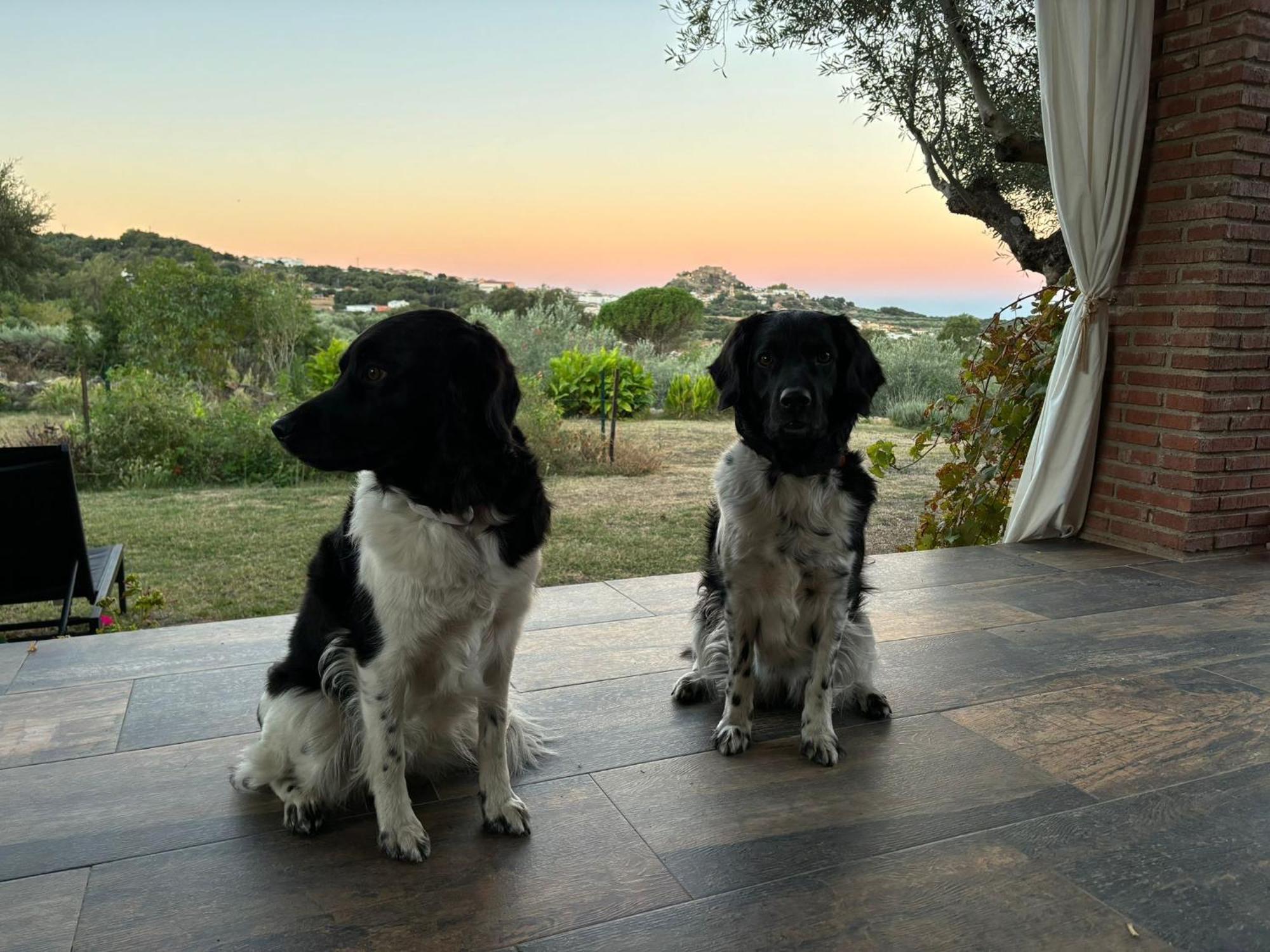 Casa Rural La Recuera Montánchez Kültér fotó